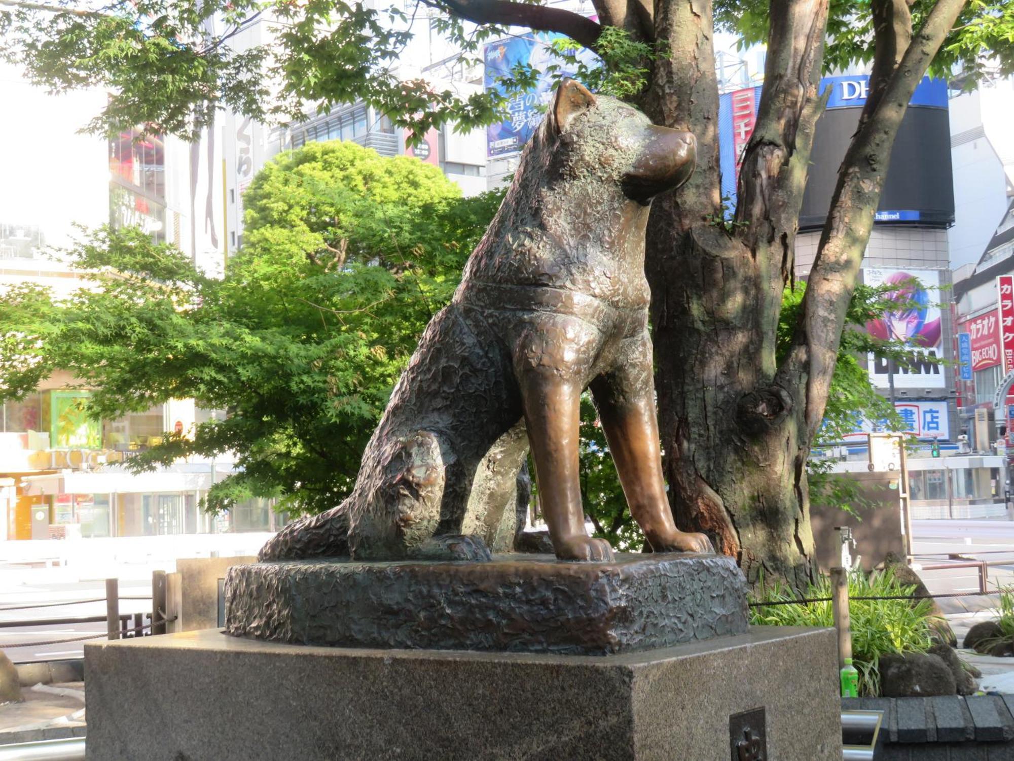 Apa Hotel Shibuya Dogenzakaue Tokio Exterior foto
